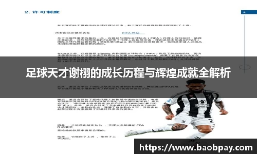足球天才谢栩的成长历程与辉煌成就全解析