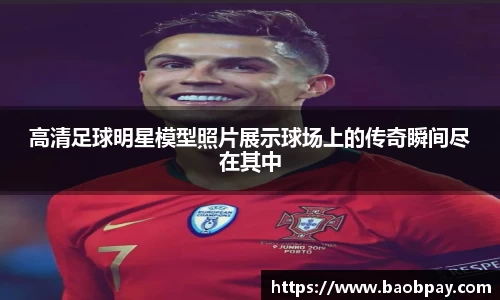 高清足球明星模型照片展示球场上的传奇瞬间尽在其中