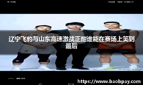 辽宁飞豹与山东高速激战正酣谁能在赛场上笑到最后