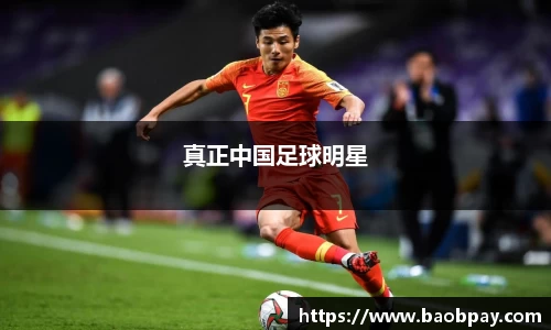 bevictor伟德国际