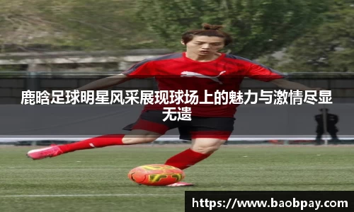 bevictor伟德国际